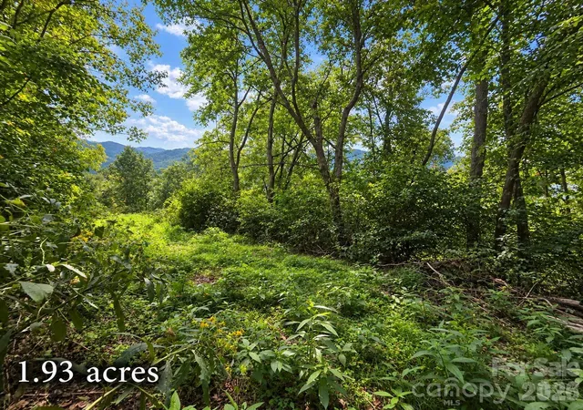 Photo 4 of Land for sale at 81 Dove Crst Ln #18 & 33, Waynesville, NC 28786 | MLS# 4426609 | Listing updated on 2026-09-21