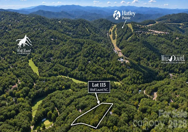 Photo 1 of Land for sale at Lot 140 Sugar Tree Ln #115, Mars Hill, NC 28754 | MLS# 4426689 | Listing updated on 2026-09-22
