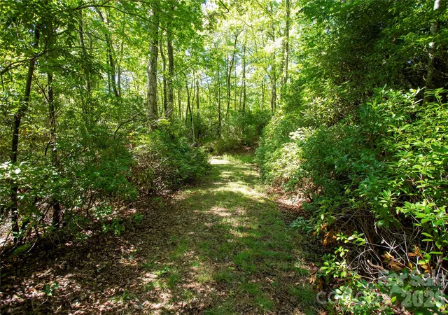 Photo 3 of Land for sale at 147 Hummingbird Holw, Rosman, NC 28772 | MLS# 4426697 | Listing updated on 2026-09-27