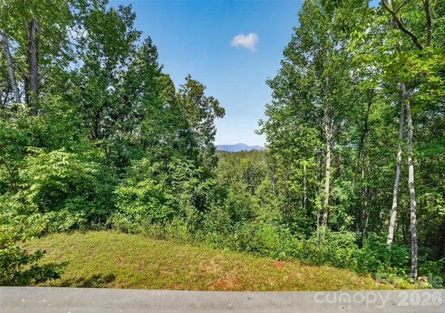 Photo 2 of Single family home for sale at 484 Briar Patch Ln, Saluda, NC 28773 | MLS# 4426728 | Listing updated on 2026-09-30