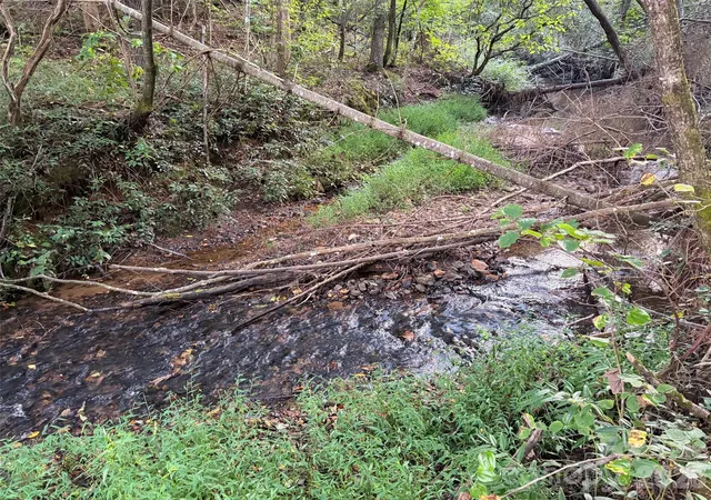 Photo 3 of Land for sale at V/l Vein Mountain Rd, Nebo, NC 28761 | MLS# 4426766 | Listing updated on 2026-10-02