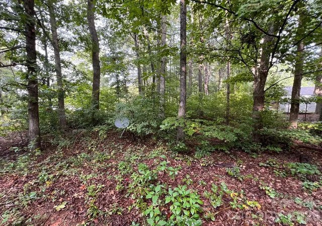 Photo 2 of Land for sale at 0 Hayes Waters Rd #2, Morganton, NC 28655 | MLS# 4426783 | Listing updated on 2026-09-22