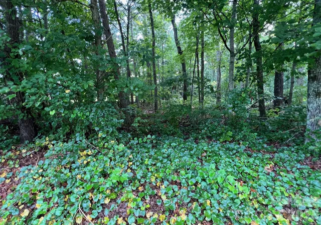 Photo 4 of Land for sale at 0 Hayes Waters Rd #2, Morganton, NC 28655 | MLS# 4426783 | Listing updated on 2026-09-22