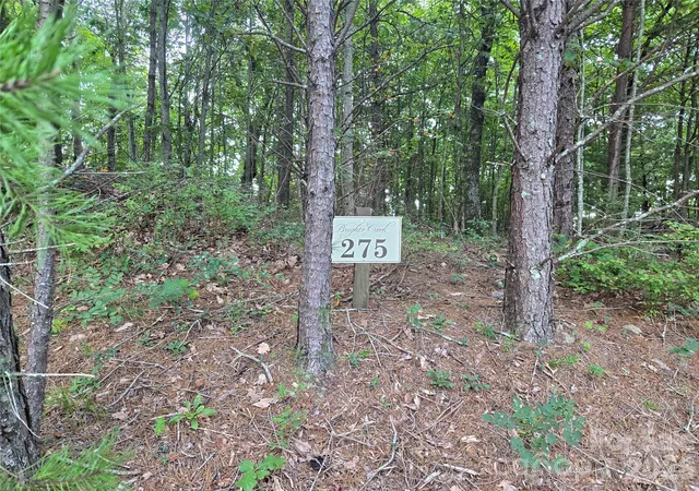 Photo 1 of Land for sale at 275 Kincaid Pl #275, Mill Spring, NC 28756 | MLS# 4426895 | Listing updated on 2026-09-21