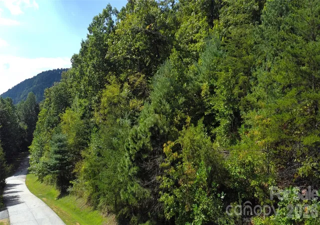Photo 3 of Land for sale at 275 Kincaid Pl #275, Mill Spring, NC 28756 | MLS# 4426895 | Listing updated on 2026-09-21