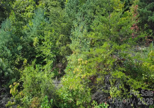 Photo 3 of Land for sale at 275 Kincaid Pl #275, Mill Spring, NC 28756 | MLS# 4426895 | Listing updated on 2026-09-21