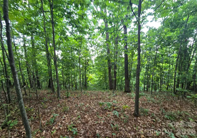 Photo 4 of Land for sale at 275 Kincaid Pl #275, Mill Spring, NC 28756 | MLS# 4426895 | Listing updated on 2026-09-21