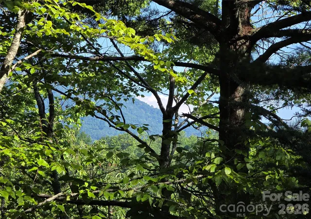 Photo 3 of Land for sale at Lot 14b,15b Sequoyah Cir, Marion, NC 28752 | MLS# 4426938 | Listing updated on 2026-09-21