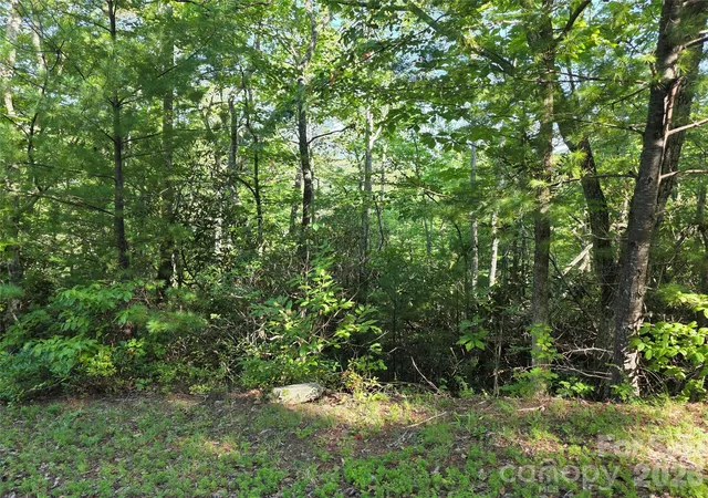 Photo 3 of Land for sale at Lot 14b,15b Sequoyah Cir, Marion, NC 28752 | MLS# 4426938 | Listing updated on 2026-09-21