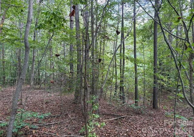 Photo 3 of Land for sale at 0 Silver Trl, Morganton, NC 28655 | MLS# 4426942 | Listing updated on 2026-09-22