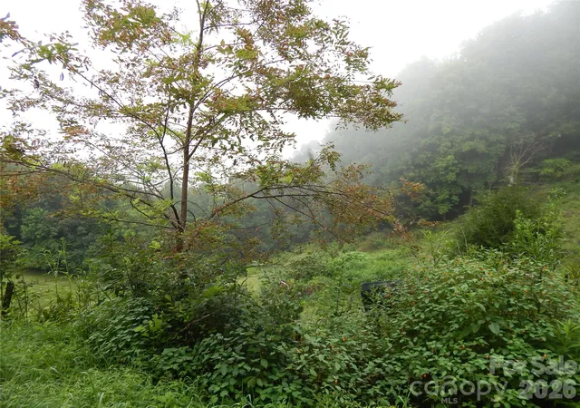 Photo 3 of Land for sale at 00 Henry Rd, Sylva, NC 28779 | MLS# 4426950 | Listing updated on 2026-10-05