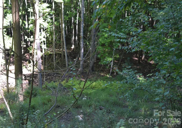 Land for sale at 1410 N Double Knob Loop, Arden, NC 28704 | MLS# 4426961