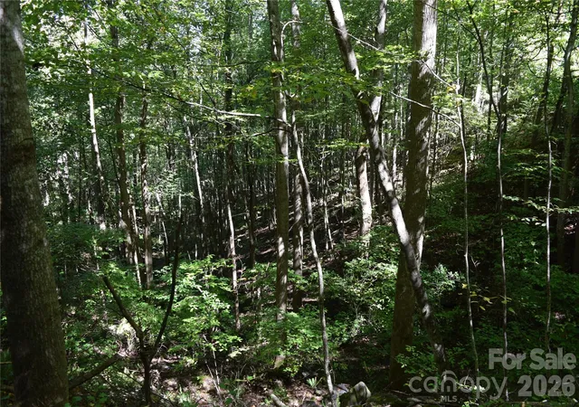 Photo 4 of Land for sale at 1410 N Double Knob Loop, Arden, NC 28704 | MLS# 4426961 | Listing updated on 2026-09-30