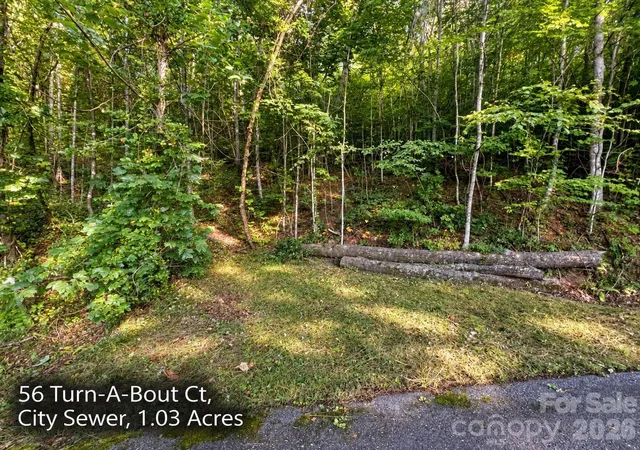 Photo 3 of Land for sale at 250 & 300 Turn A Bout Ct, Waynesville, NC 28785 | MLS# 4427004 | Listing updated on 2026-09-21