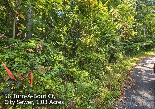 Photo 4 of Land for sale at 250 & 300 Turn A Bout Ct, Waynesville, NC 28785 | MLS# 4427004 | Listing updated on 2026-09-21