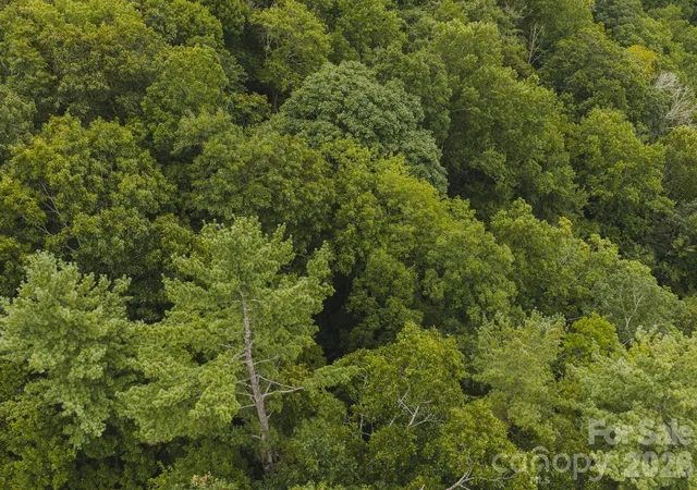 Photo 3 of Land for sale at 0 Rebel Run, Marion, NC 28752 | MLS# 4427020 | Listing updated on 2026-09-29