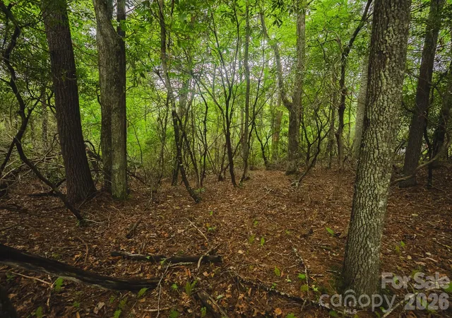 Photo 4 of Land for sale at 0 Rebel Run, Marion, NC 28752 | MLS# 4427020 | Listing updated on 2026-09-29