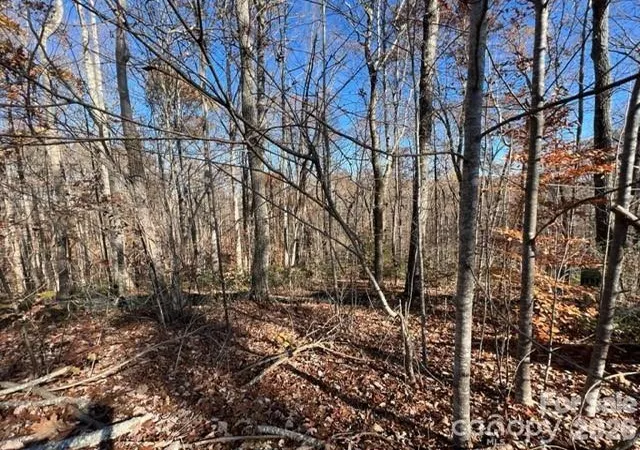 Photo 1 of Land for sale at Tbd Trl Ridge Dr #113, Marion, NC 28752 | MLS# 4427132 | Listing updated on 2026-09-21