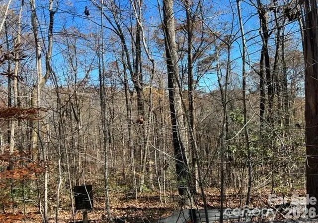 Photo 2 of Land for sale at Tbd Trl Ridge Dr #113, Marion, NC 28752 | MLS# 4427132 | Listing updated on 2026-09-21