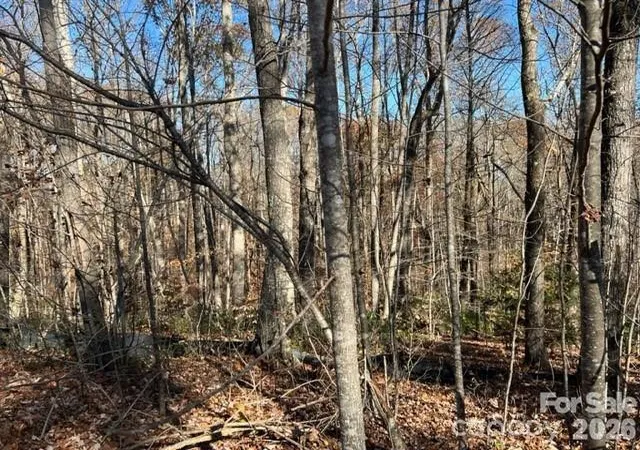 Photo 3 of Land for sale at Tbd Trl Ridge Dr #113, Marion, NC 28752 | MLS# 4427132 | Listing updated on 2026-09-21