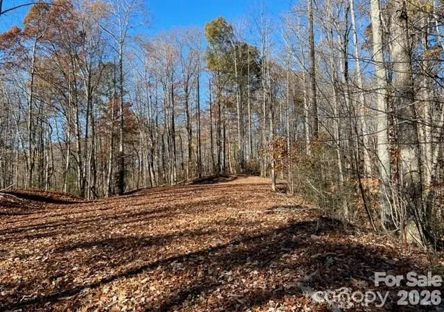 Photo 4 of Land for sale at Tbd Trl Ridge Dr #113, Marion, NC 28752 | MLS# 4427132 | Listing updated on 2026-09-21