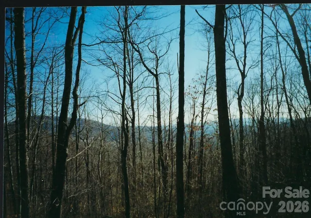Land for sale at Lot #35 Damselfly Ct, Spruce Pine, NC 28777 | MLS# 4427152