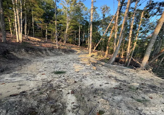 Photo 3 of Sale Pending at Tbd Old Nc Hwy 16, Millers Creek, NC 28651 | MLS# 4427178 | Listing updated on 2026-10-02