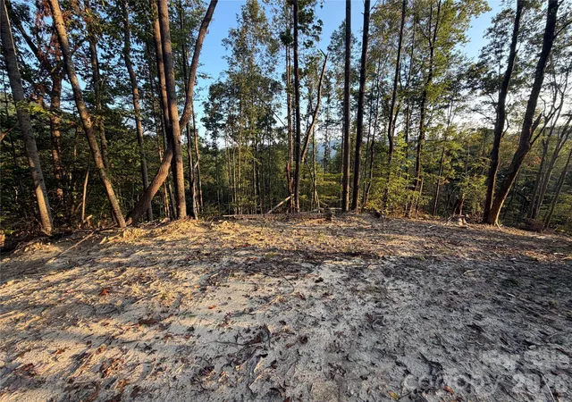Photo 3 of Sale Pending at Tbd Old Nc Hwy 16, Millers Creek, NC 28651 | MLS# 4427178 | Listing updated on 2026-10-02