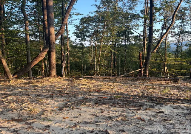 Photo 4 of Sale Pending at Tbd Old Nc Hwy 16, Millers Creek, NC 28651 | MLS# 4427178 | Listing updated on 2026-10-02