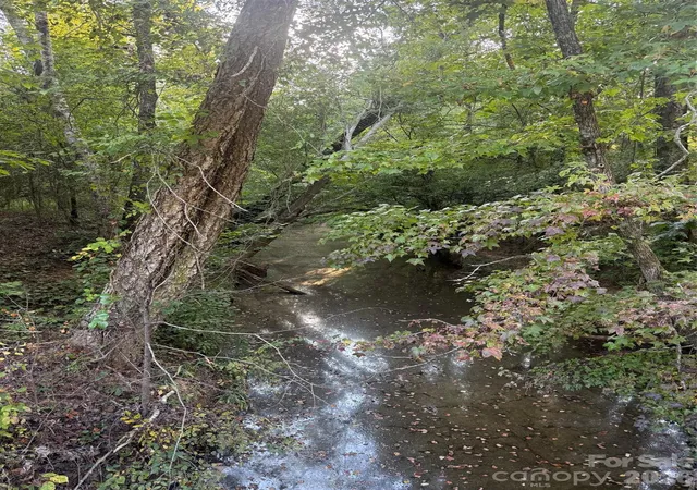 Land for sale at 00 Pleasant Grv Church Rd, Wadesboro, NC 28170 | MLS# 4427194