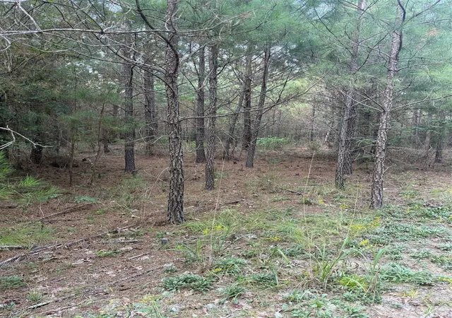 Photo 1 of Land for sale at 00 Pleasant Grv Church Rd, Wadesboro, NC 28170 | MLS# 4427194 | Listing updated on 2026-09-22