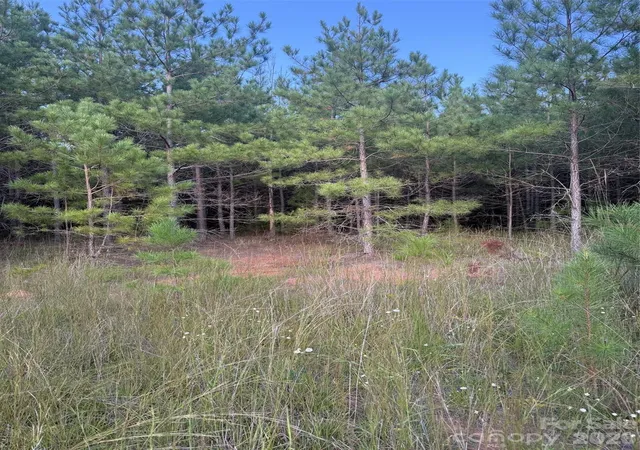 Photo 2 of Land for sale at 00 Pleasant Grv Church Rd, Wadesboro, NC 28170 | MLS# 4427194 | Listing updated on 2026-09-22