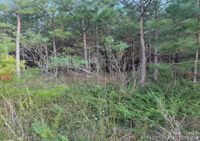 Photo 3 of Land for sale at 00 Pleasant Grv Church Rd, Wadesboro, NC 28170 | MLS# 4427194 | Listing updated on 2026-09-22