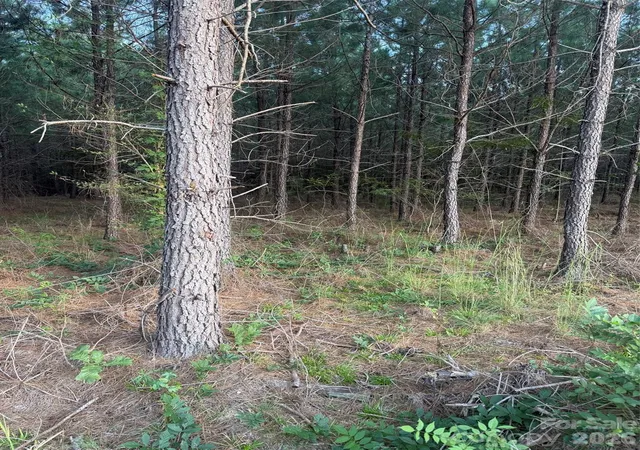 Photo 4 of Land for sale at 00 Pleasant Grv Church Rd, Wadesboro, NC 28170 | MLS# 4427194 | Listing updated on 2026-09-22