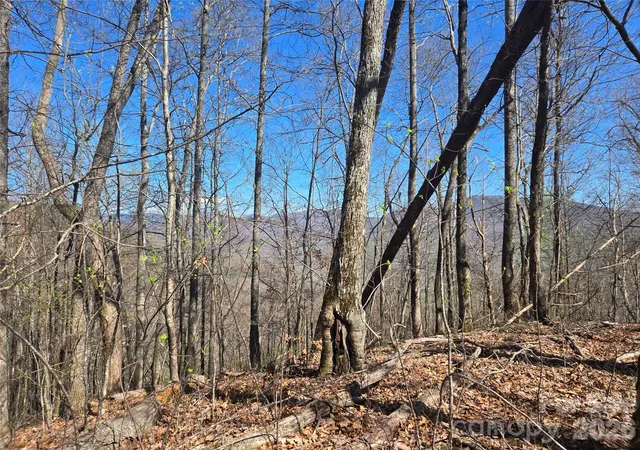 Photo 2 of Land for sale at 0000 Brasstown Rd, Cullowhee, NC 28723 | MLS# 4427272 | Listing updated on 2026-09-22