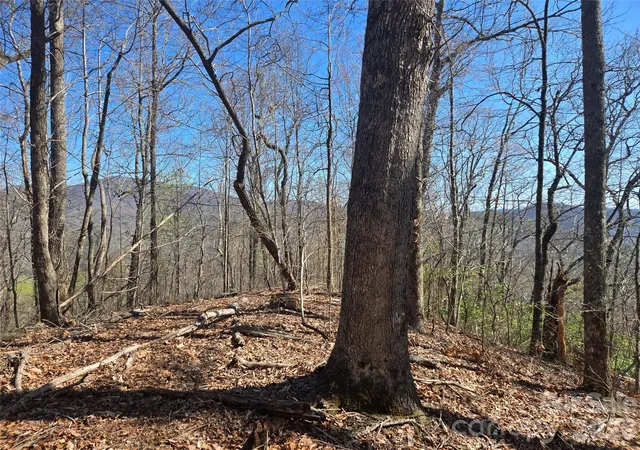 Photo 3 of Land for sale at 0000 Brasstown Rd, Cullowhee, NC 28723 | MLS# 4427272 | Listing updated on 2026-09-22