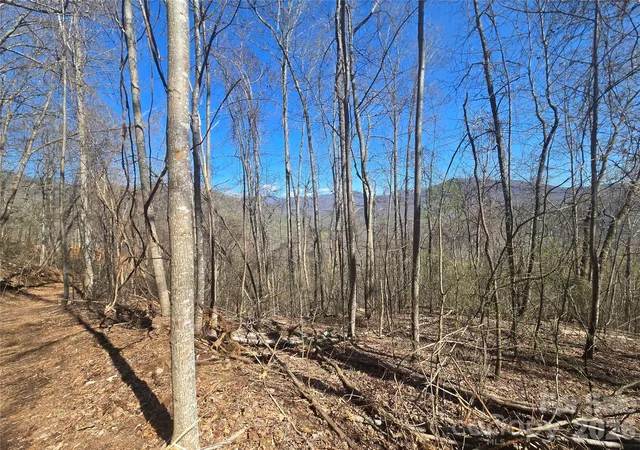 Photo 4 of Land for sale at 0000 Brasstown Rd, Cullowhee, NC 28723 | MLS# 4427272 | Listing updated on 2026-09-22