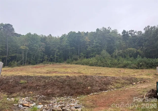 Photo 3 of Land for sale at 87 Starwood Valley Trl, Arden, NC 28704 | MLS# 4427330 | Listing updated on 2026-09-23