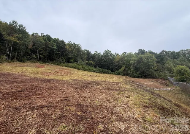 Photo 3 of Land for sale at 87 Starwood Valley Trl, Arden, NC 28704 | MLS# 4427330 | Listing updated on 2026-09-23