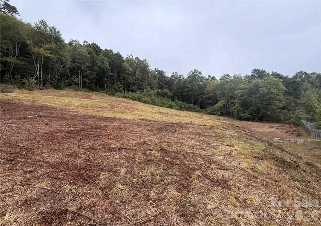 Photo 4 of Land for sale at 87 Starwood Valley Trl, Arden, NC 28704 | MLS# 4427330 | Listing updated on 2026-09-23