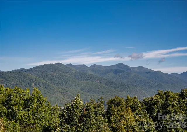 Photo 4 of Single family home for sale at 126 Wildflower Cvs Dr, Swannanoa, NC 28778 | MLS# 4427361 | Listing updated on 2026-10-03