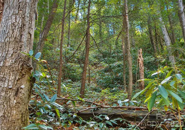Photo 3 of Land for sale at 43 Deer Xing Ln #43, Ferguson, NC 28624 | MLS# 4427371 | Listing updated on 2026-09-29