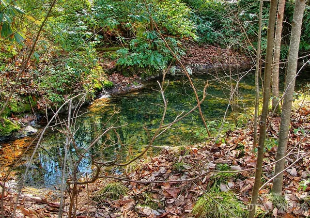 Photo 4 of Land for sale at 43 Deer Xing Ln #43, Ferguson, NC 28624 | MLS# 4427371 | Listing updated on 2026-09-29
