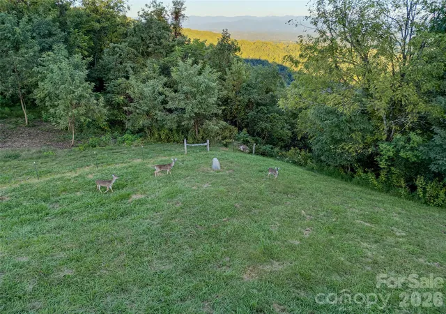 Photo 4 of Single family home for sale at 1045 & 1047 Graham Rd, Marshall, NC 28753 | MLS# 4427381 | Listing updated on 2026-10-07