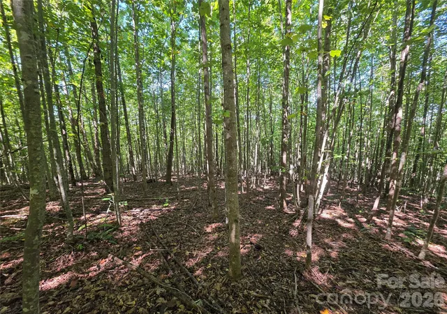 Photo 2 of Land for sale at 113 Meditation Ridge Dr, Nebo, NC 28761 | MLS# 4427447 | Listing updated on 2026-09-25