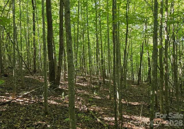 Photo 3 of Land for sale at 113 Meditation Ridge Dr, Nebo, NC 28761 | MLS# 4427447 | Listing updated on 2026-09-25