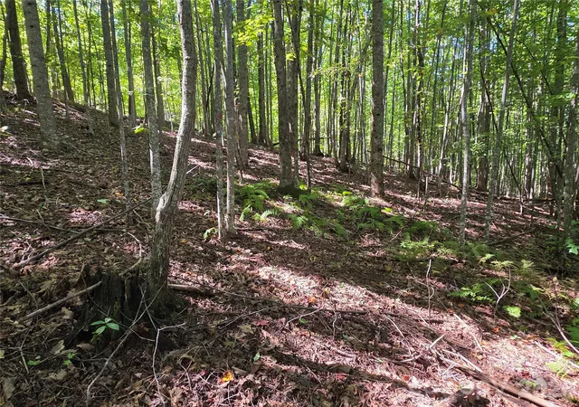 Photo 2 of Land for sale at 19 Meditation Ridge Dr, Nebo, NC 28761 | MLS# 4427451 | Listing updated on 2026-09-25
