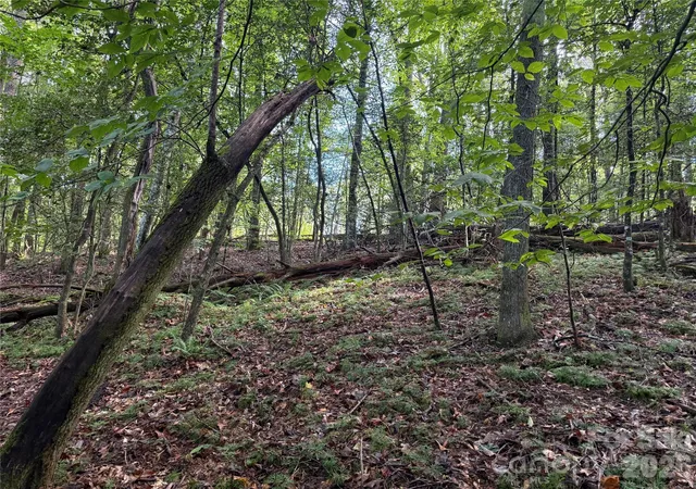 Photo 4 of Land for sale at 000 Reserve Way #10, Hendersonville, NC 28792 | MLS# 4427473 | Listing updated on 2026-10-06