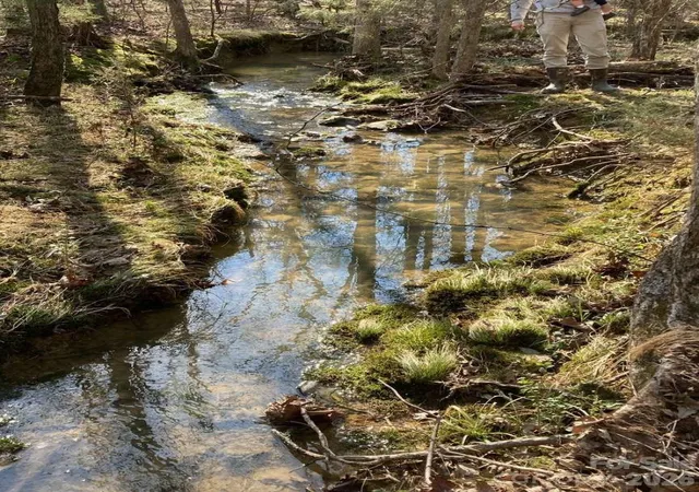 Photo 1 of Land for sale at 35893 Red Bird Rd, Albemarle, NC 28001 | MLS# 4427545 | Listing updated on 2026-09-23