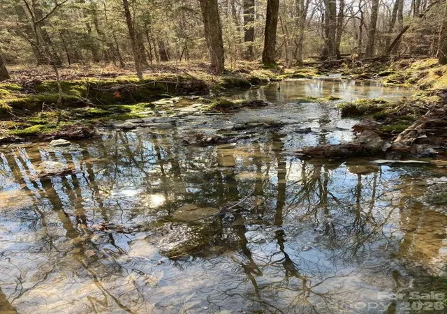Photo 3 of Land for sale at 35893 Red Bird Rd, Albemarle, NC 28001 | MLS# 4427545 | Listing updated on 2026-09-23
